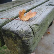 Autumn-Lake 200114